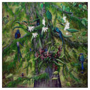 Buscar orquídea telas Naturaleza