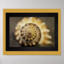 Buscar imprimibles arte General y unisex