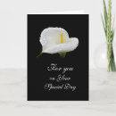 Buscar cala lilly tarjetas Flor