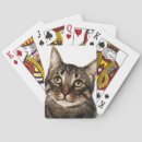Buscar veterinario barajas de cartas Gatos