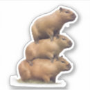 Buscar capybara postales Humor
