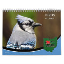 Buscar aves calendarios Colibrí