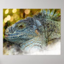 Buscar reptiles arte Herpetología