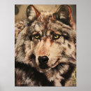 Buscar lobos salvajes posters Bosque
