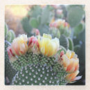 Buscar cactus posavasos Flores