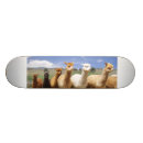 Buscar alpaca tablas de skate Para niños