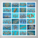 Buscar natación sincronizada posters Equipo de natación