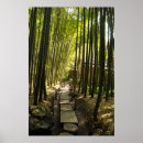 Buscar arboleda de bambú posters Bosque