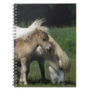 Buscar miniatura cuadernos Ecuestre