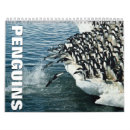 Buscar pingüinos calendarios Océano