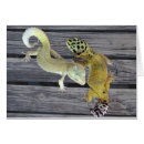 Buscar amante del lagarto postales Para todos