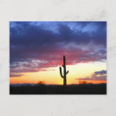 Buscar phoenix postales Sol