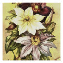 Buscar jardinero posters Para ella