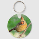 Buscar cardinal llaveros Fauna