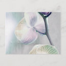 Buscar pintado postales Flores