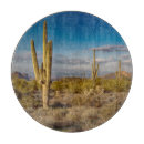 Buscar saguaro tablas cortar Puesta de sol