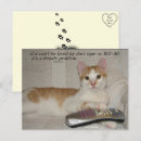 Buscar gatos divertidos postales 9 º gata