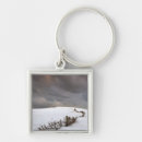 Buscar agricultura llaveros Rural