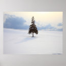 Buscar árbol japonés posters Exterior