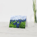Buscar texano tarjetas Azul