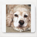 Buscar cocker spaniel alfombrillas de raton Amante del perro