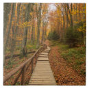 Buscar camino azulejos Otoño
