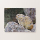 Buscar roedores puzzles Naturaleza