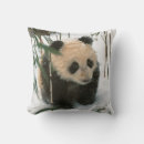 Buscar wolong Panda