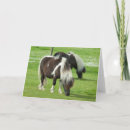 Buscar cindy tarjetas Caballo