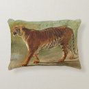 Buscar tigre de bengala cojines Gatos grandes