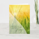 Buscar campos de trigo tarjetas General y unisex