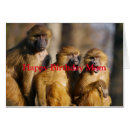 Buscar monos del amor Madre
