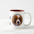 Buscar cavalier king charles spaniel tazas Cachorro