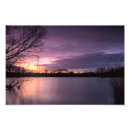 Buscar buzzard Leighton buzzard