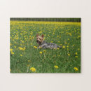 Buscar yorkies puzzles Para todos