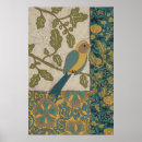 Buscar pájaro azul posters Naturaleza