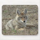 Buscar carnívoro alfombrillas de raton Vida silvestre