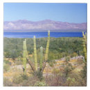 Buscar california azulejos Viaje