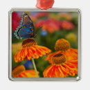 Buscar carnaval adornos Rosa