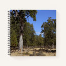 Buscar hermoso día cuadernos Azul