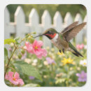 Buscar colibrí pegatinas Naturaleza