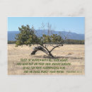 Buscar comprensión postales Naturaleza