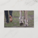 Buscar condensador Caballo