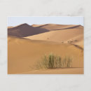 Buscar marruecos postales Desierto sahara