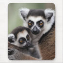 Buscar lemur alfombrillas de raton Lémur