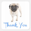 Buscar pug etiquetas Gracias