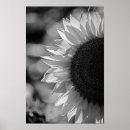 Buscar flores artísticas posters Fotografía
