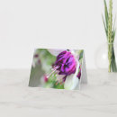 Buscar fucsia tarjetas Rosa