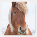 Buscar equus pegatinas Europa
