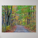 Buscar naturaleza y paisajes posters Bosques